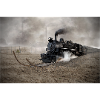 Wild Train
