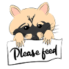 Funny Raccoon Sayings Retro Raccoon