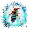 abeille, guêpe, insecte, vol, graffiti, peinture