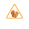 squirrel