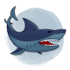 Shark