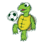 Turtle plays and loves football