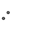 Virus corona