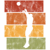 Basket basket basketteur basketteur