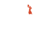 flamenco
