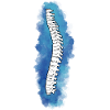 Physiotherapist Chiropractor Physiotherapy