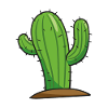 Kaktus