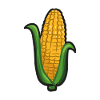 corncob