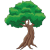 Bonsai Baum