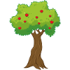 apple tree