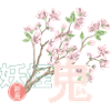 Cherry blossom japan