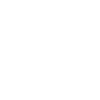 Occult Cicada - Sacred Geometry