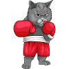 Boxing Cat Boxkatze
