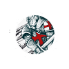 Templerkriegerritter