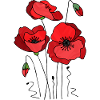 Fleurs