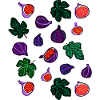 Figs fruits pattern1