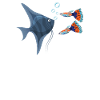 Aquaristics Aquarist Aquarium Design