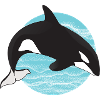 Killer Whale in Ocean Circle
