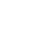 artist
