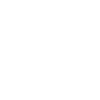 Wing chun Wingtsun