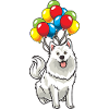 Samojede Hund mit Luftballons lustig