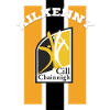 Kilkenny Hurling