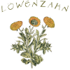 Löwenzahn Retro Blume Garten