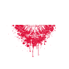 Polen Flagge & Adler Wappen