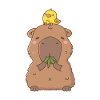 Cute Capybara With Yellow Bird