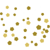 golden dandelion