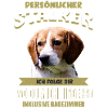 Beagle Hund - Beagle
