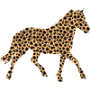 Wildpferd mit Leoprint
