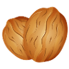 two beautiful luminous walnuts