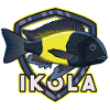 Tropheus Cichlid Tanganyika Cichlide Ikola