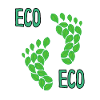 Ecology