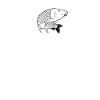 Fishing heartbeat