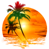 Travel Exotic Palms Sun