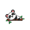 Panda Panda Pandas Gift