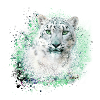 snow leopard,cat,leopard,graffiti,wildcat