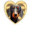 Teckel - chien teckel - coeur design