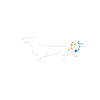 Dackel Hund - Dackel