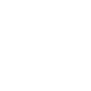 Kooikerhondje The Walking Dad