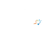 Beagle Hund - Beagle