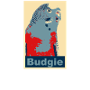 Perruche budgie image
