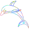 dolphin