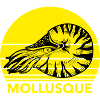 MOLLUSQUE - illustration mollusque marin jaune