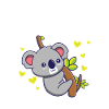 Koala Koala Koalas gave