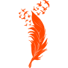 Feather and orange birds