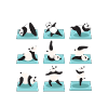 Funny Panda Yoga Postures