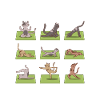 Funny Cats Yoga Postures